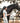 Noma Breeches White