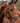 <tc>Kenyan Collection Brown</tc>